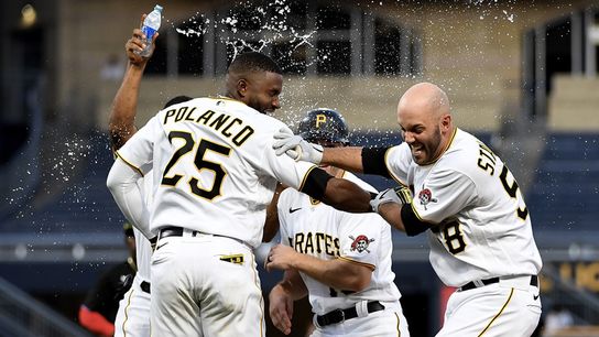 Bullpen keeps showing why they're 'animals' ... even beyond RichRod taken at PNC Park (Pirates)